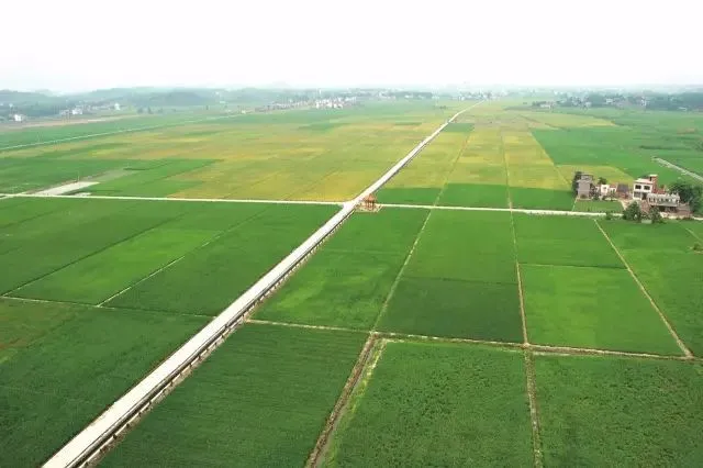 征收方拒绝支付征地补偿？找准违法点，二审成功拿到补偿款！